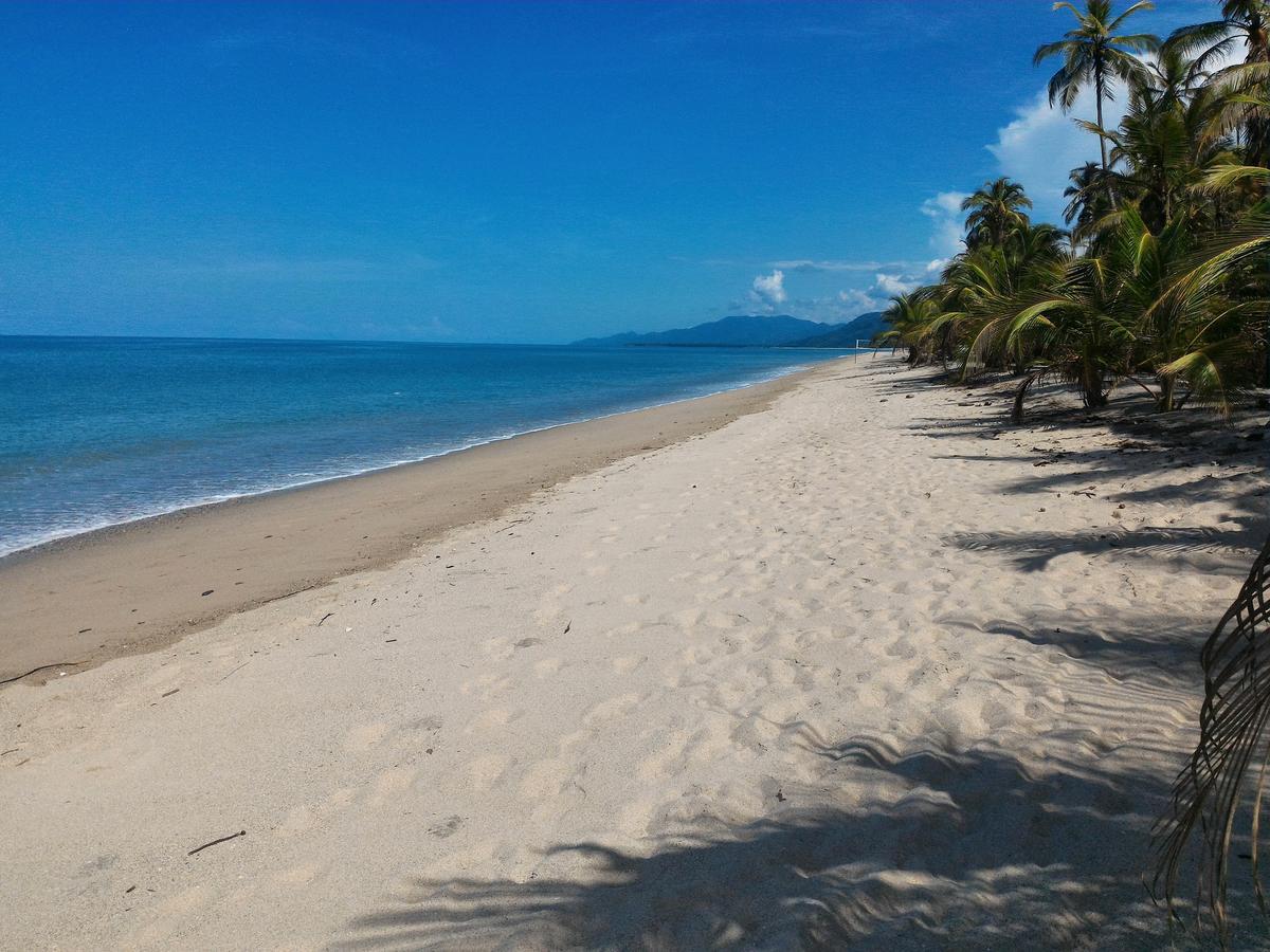 Playa Pikua Ecolodge Guachaca ภายนอก รูปภาพ